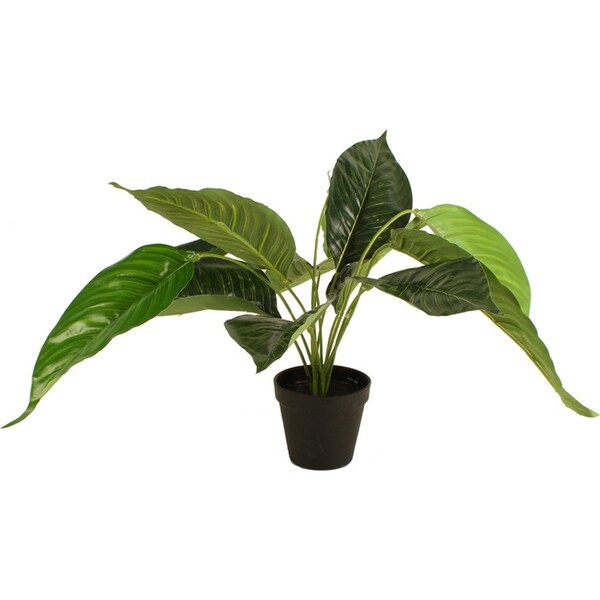 Maine & Crawford 55cm Potted Peace Lily Artificial Plant Fake Faux Home Decor