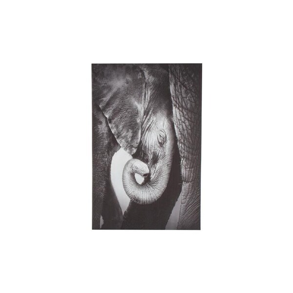 Maine & Crawford Blaine 90x60cm Baby Elephant On Stretched Canvas Wall Art Decor