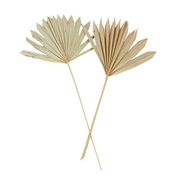 2pc Maine & Crawford 55cm Artificial Sun Spear Fake Faux Plant Decor Natural