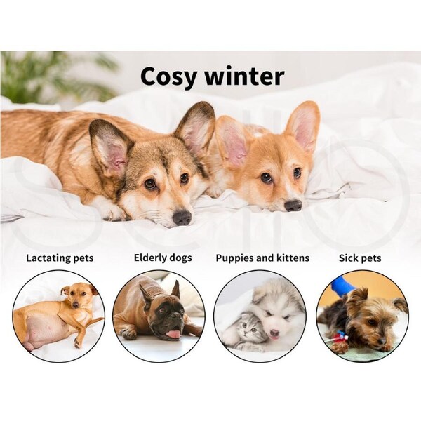 Pawz Electric Pet Heater Bed Heated Mat Cat Dog Heat Blanket Removable Cover
