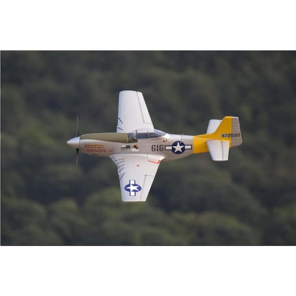 FlightLine P-51D Mustang 850mm (33") Wingspan PNP EPO RC Plane Airplane RC Model