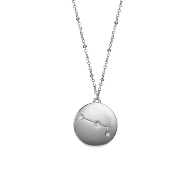 Nevenka 12 Constellation Coin Disc Silver Necklace Engraving Astrology Pendant-Aries