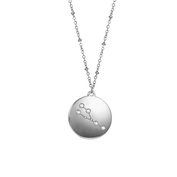 Nevenka 12 Constellation Coin Disc Silver Necklace Engraving Astrology Pendant-Taurus