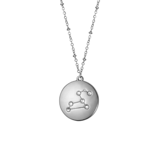 Nevenka 12 Constellation Coin Disc Silver Necklace Engraving Astrology Pendant-Leo