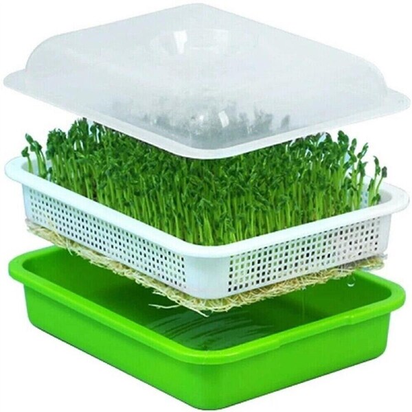 1x Seed Sprouter Tray with Lid BPA Free Bean Sprout Grower Sprouting Seeds Tray