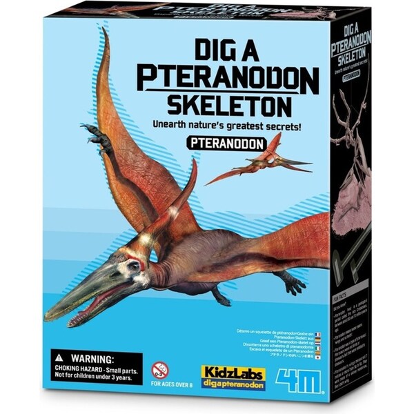 4M KidzLabs Dig a Pteranadon Skeleton Educational Kids/Toddler Activity Toy 8y+