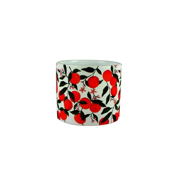 Maine and Crawford Mandarin 16cm Tree Ceramic Pot Home/Garden Decor WHT/Orange