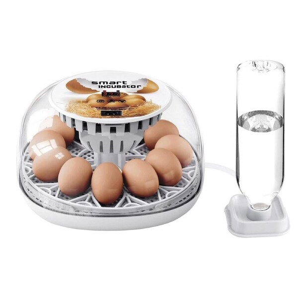 12 Eggs Incubator Automatic Hatching Chicken Quail Duck Hatcher Turner Transparent Humidity Temperature Control