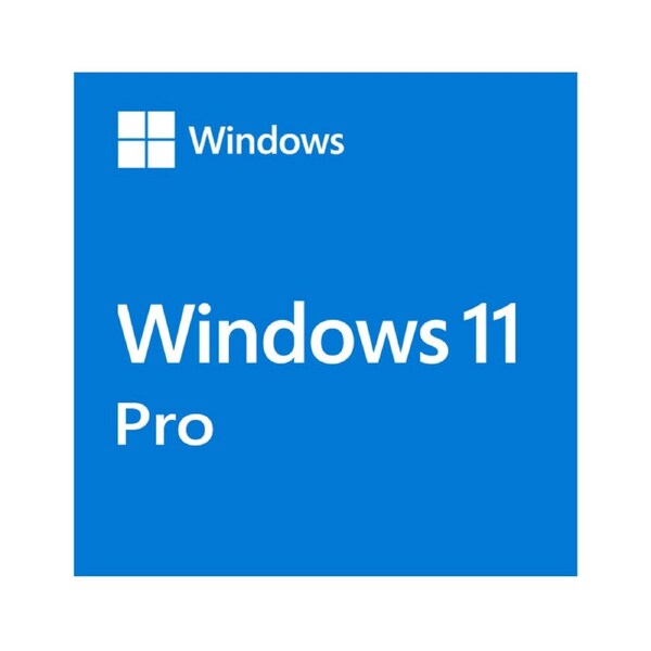 Microsoft Windows 11 Professional OEM 64-bit English 1 Pack DVD. Key NEW