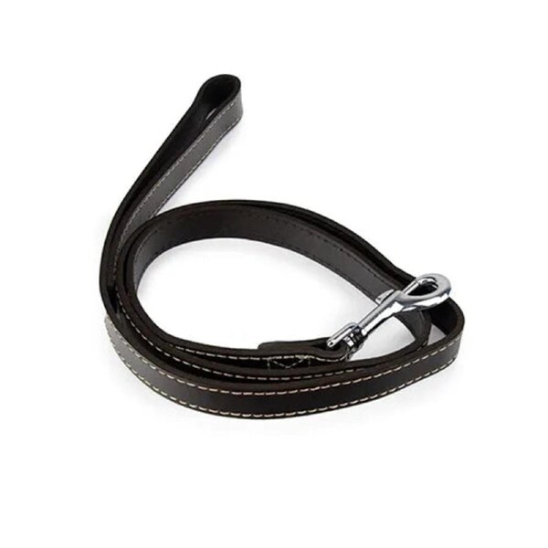 Leather Dog Lead