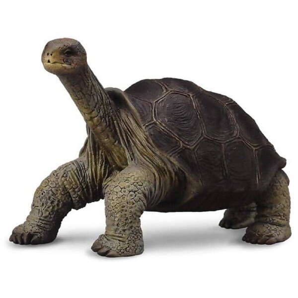 CollectA - Tortoise Pinta Island Tortoise Figurine