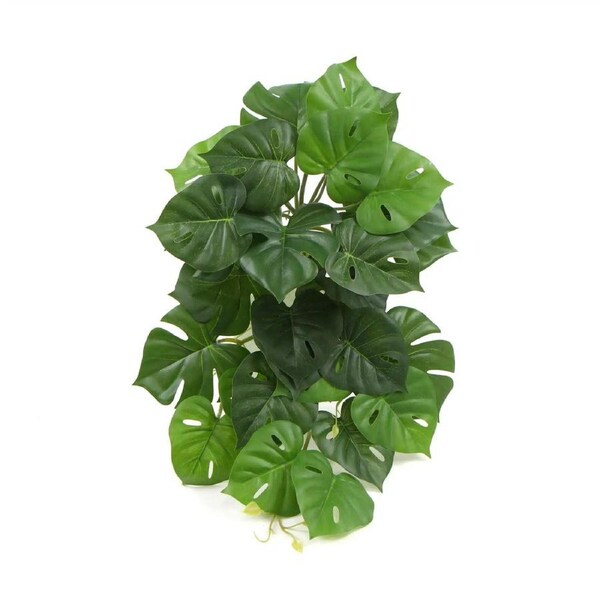 Hanging Artificial Monstera Adansonia Plant 50cm