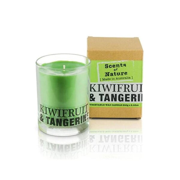 Scents Of Nature Soy Candle 240 g - Kiwifruit & Tangerine by Tilley FG1256
