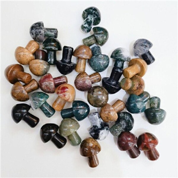 5pcs Natural Mushroom Quartz Crystal Carved Polishing Healing Stone -Dark Colour
