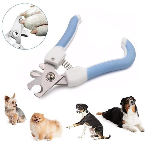 Pet Grooming Scissors and Nail Clipper