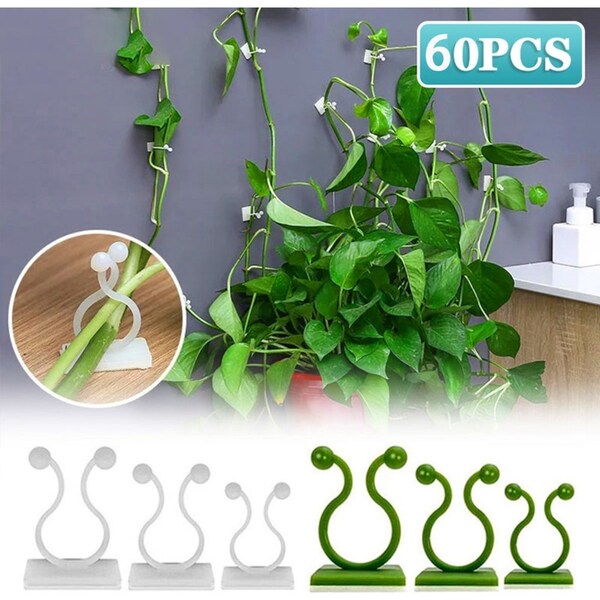 60 Pcs Plant Climbing Wall Clips Vine Buckle Hook Rattan Clamp Fixator