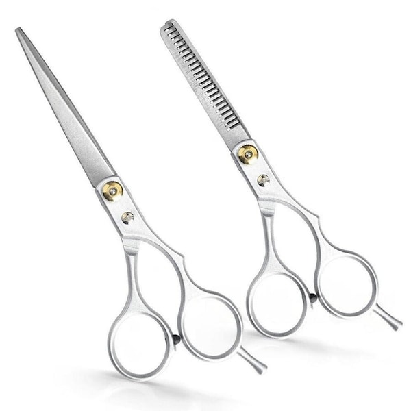 Professional Hair Cutting Thinning Scissors Shears Hairdressing Set Salon