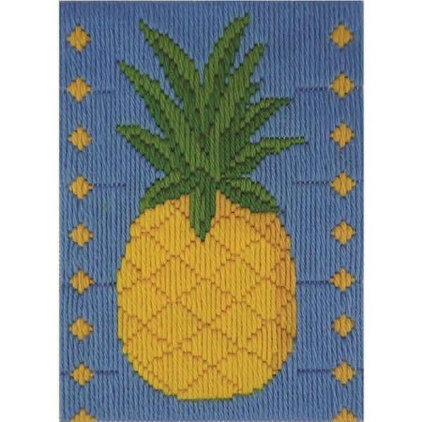 Beutron Long Stitch Kit Kids Beginner Pineapple