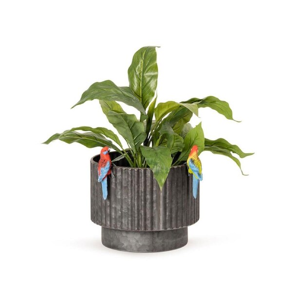 4x Crimson/Eastern 11cm Rosella Pot Planter Sitter Garden Ornament Decor Assort