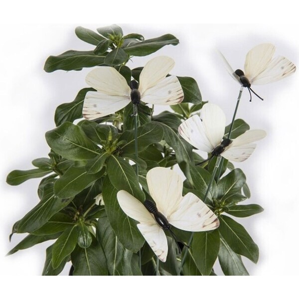 8x 6pc Garden 50x5cm Cabbage Moth Sticks Outdoor Ornament Yard Patio Home Decor