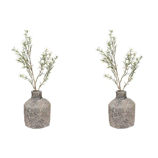 2x Terracotta 17cm Flask Plant/Flower Vase Outdoor Yard/Patio Garden Decor Asst