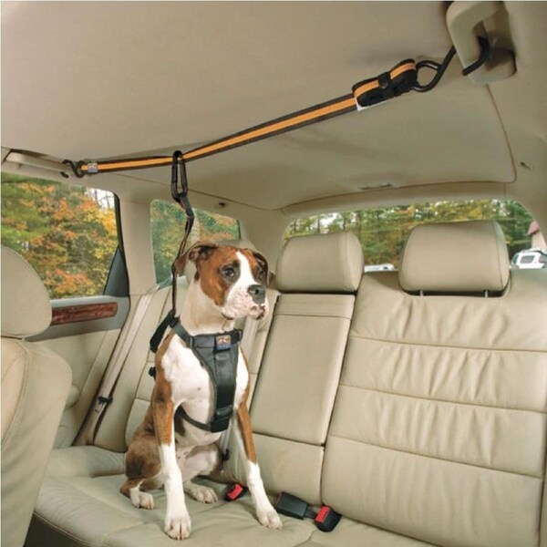 Kurgo Auto Zip Line / Tether for Dog Car Travel