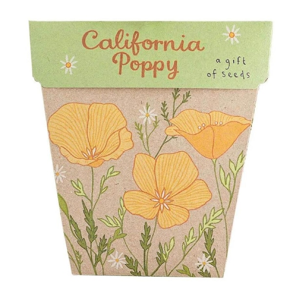 California Poppy Gift of Seeds - Sow 'n Sow