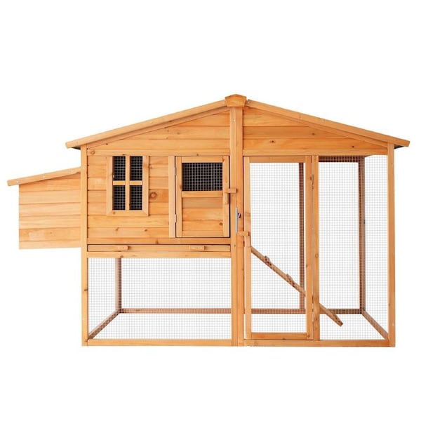 Furtastic Large Chicken Coop & Rabbit Hutch in Fir Wood