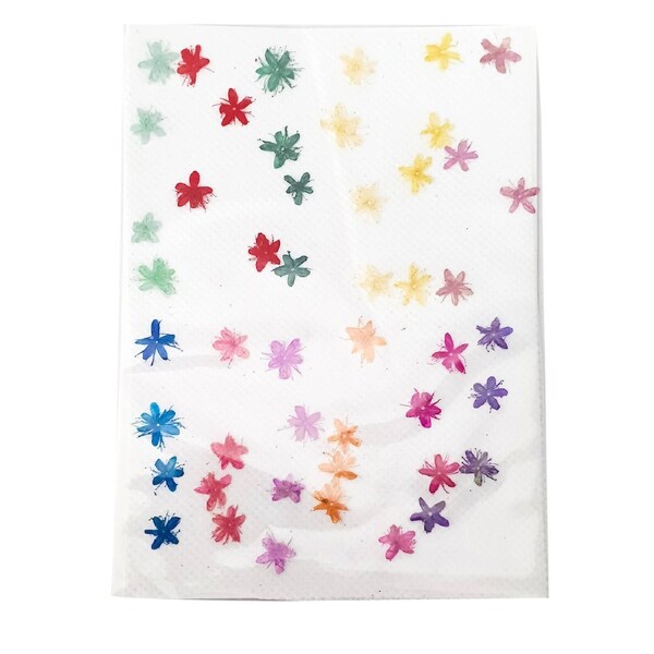 Nail Art Decoration - Dry Flowers Natural Five Leaf Sticker 48pcs