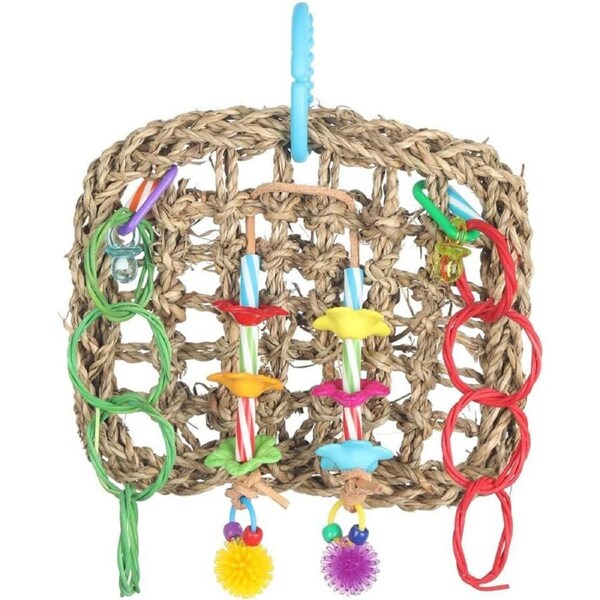 Nature Island 19cm Hanging Mini Activity Wall Pet Bird Fun Interactive Cage Toy