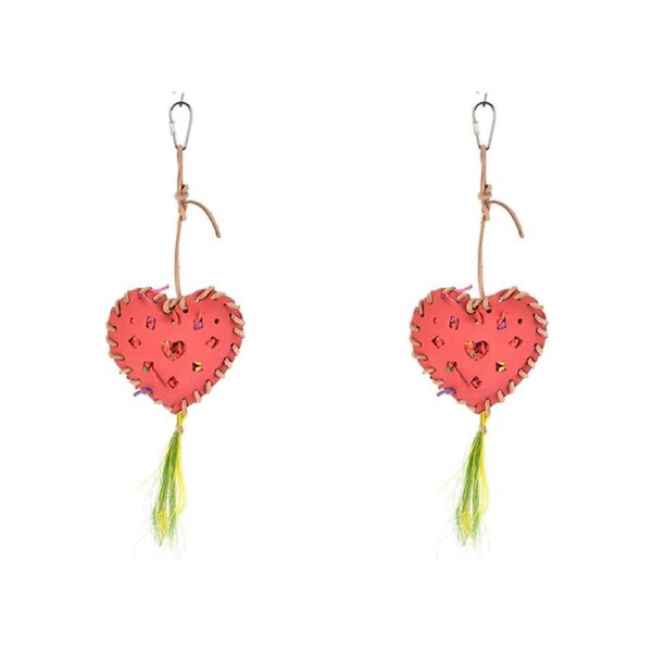 2x Nature Island 30cm Hanging Pinata Heart Shape Pet Bird Interactive Cage Toy