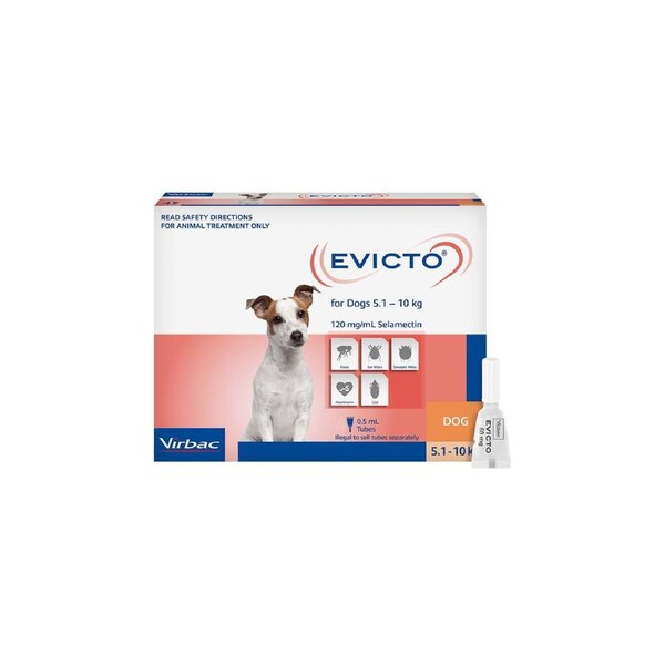 Evicto Spot On for Small Dogs 5 to 10 Kg (ORANGE) 4 Pack