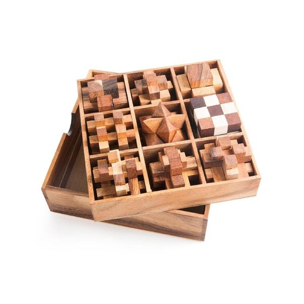 Adult Level 9pc/Set Burr Puzzle Set Beech Interlocked High Difficulty Over 14 Years Full Set Educational Toys-LAST ONE