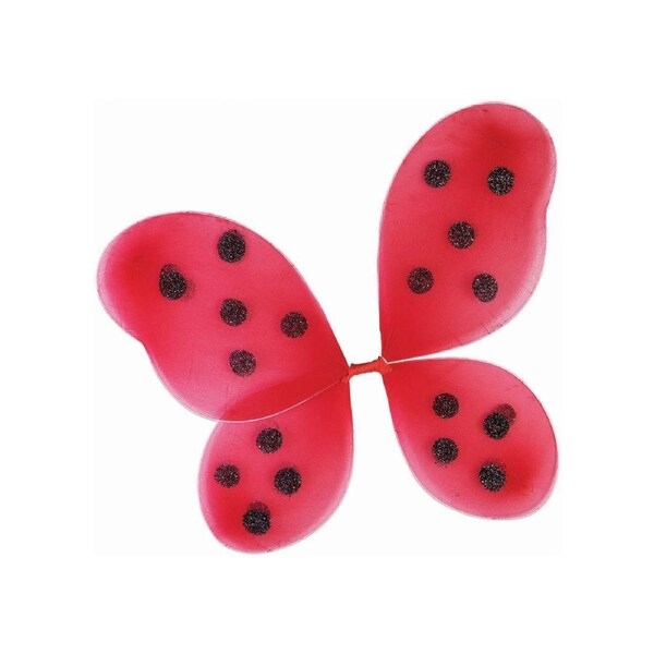 Ladybug Wings Set for Kids