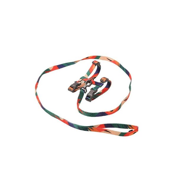 2pc Pidan Adjustable A2 Pet Cat Walking Harness & Leash Set Training/Walking