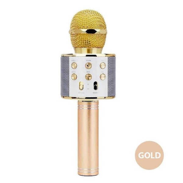 Wireless Microphone Speaker Bluetooth KTV Karaoke gold