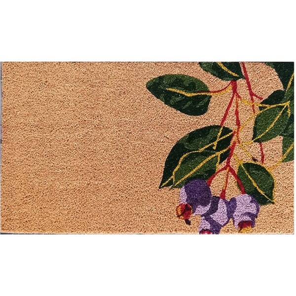 Solemate PVC Backed Coir Gum Nut 45x75cm Slimline Outdoor Stylish Doormat