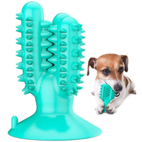 Nevenka Dog Toothbrush Cactus Chew Toys Dog Teeth Cleaning Stick-Blue
