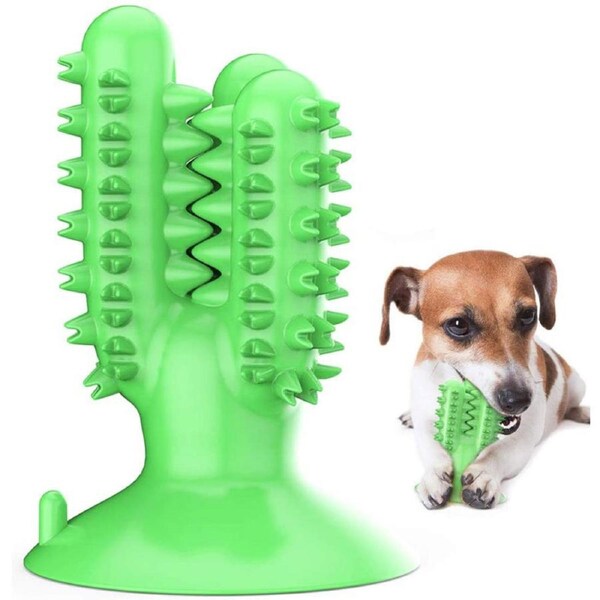 Nevenka Dog Toothbrush Cactus Chew Toys Dog Teeth Cleaning Stick-Green