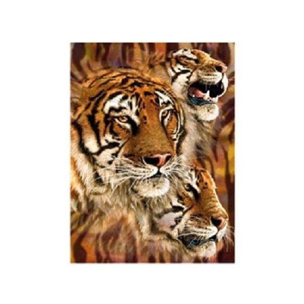 3D Livelife Poster - Tiger Stripes
