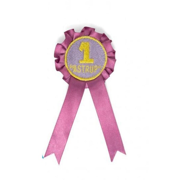 Astrup Role Play Hobby Horse Rosettes Badge Award Sash Toy Kids/Children 3+ Asst