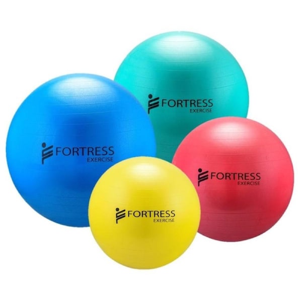 Fortress Rainbow Anti-Burst Gym Ball + Pump (65cm) Max 500 KG