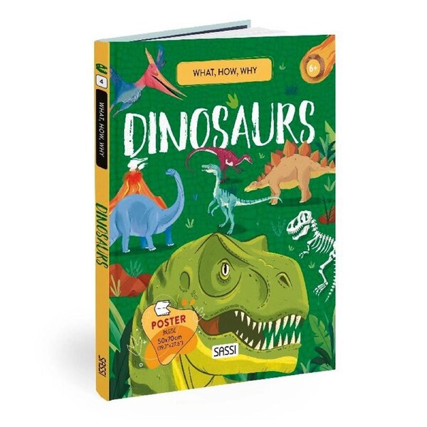 Sassi Book & Poster Kids/Children Fun Learning What How & Why Dinosaurs 6y+