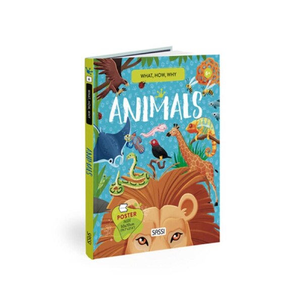 Sassi Book & Poster Kids/Children Fun Learning/Reading What How & Why Animals 6+