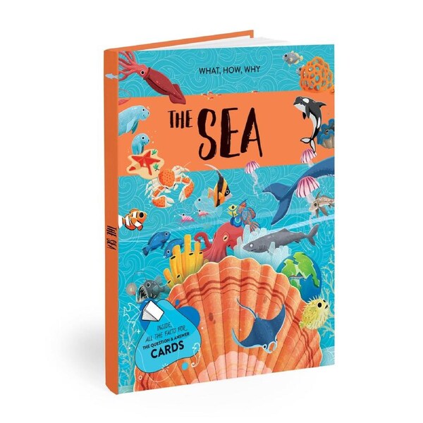 Sassi Book & Poster Kids/Children Fun Learning/Reading What How & Why The Sea 6+