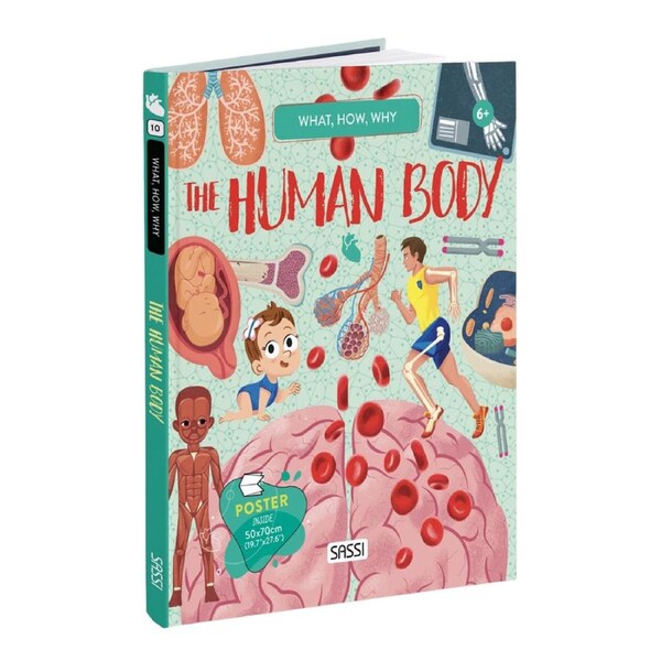 Sassi Book & Poster Kids/Children Fun Learning What How & Why The Human Body 6y+
