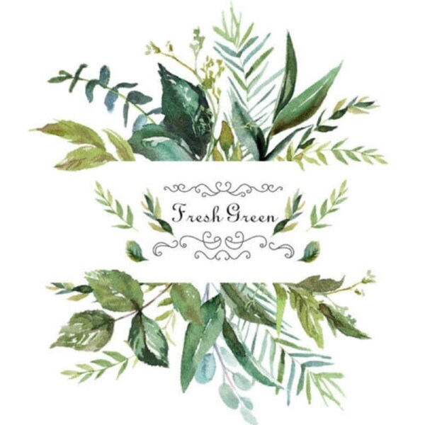 Home Decor Removable Wall Stickers Green Leaves Foliage