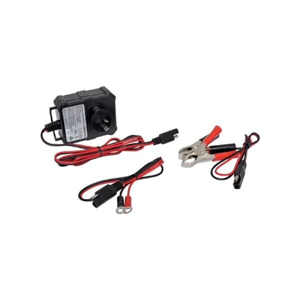 Battery Maintenance Charger 6V/12V 600mA