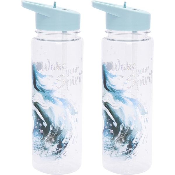 2x Paladone 650ml Frozen 2 Water Bottle Kids/Children Drinking Travel Tumbler