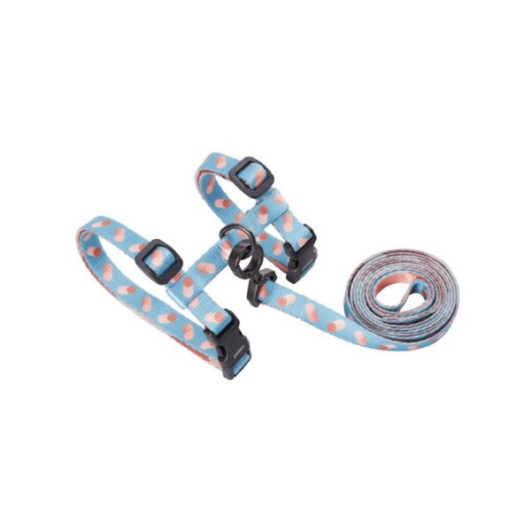 Pidan Harness & Leash Set–A3